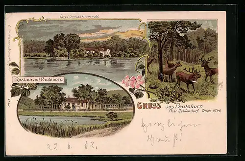 Lithographie Berlin-Grunewald, Restaurant Paulsborn, Jagd-Schloss Grunewald