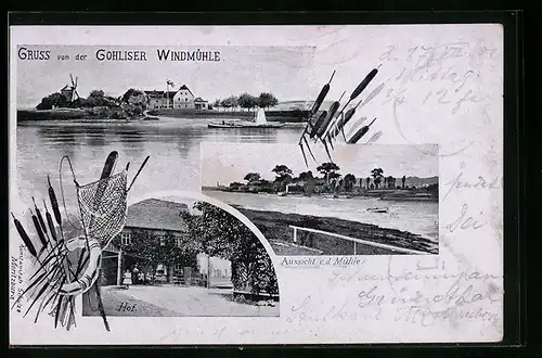 AK Gohlis bei Dresden, Gasthaus, Windmühle