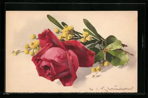 Künstler-AK Catharina Klein: Rote Rose mit gelben Blumen