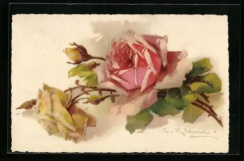 Künstler-AK Catharina Klein: Hübsch blühende Rosen