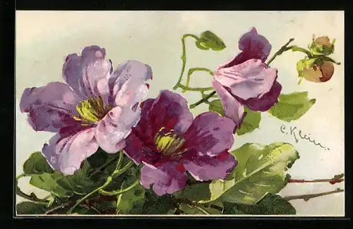 Künstler-AK Catharina Klein: Violett blühende Blumen