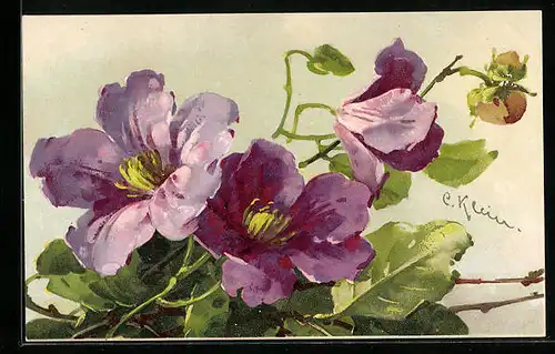 Künstler-AK Catharina Klein: Violette Blüten mit Blättern