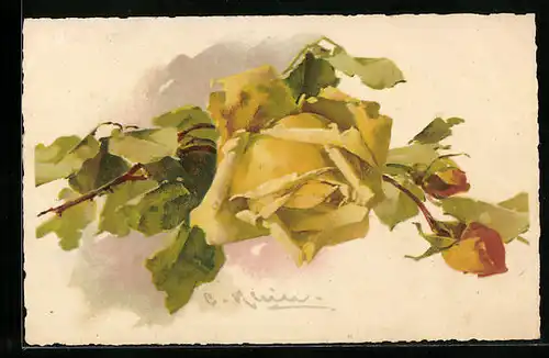 Künstler-AK Catharina Klein: Blühende Rose mit Knospen