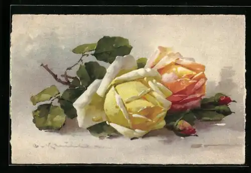 Künstler-AK Catharina Klein: 2 hübsche Rosen mit Knospen