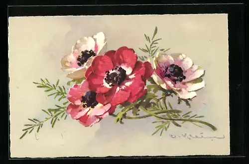 Künstler-AK Catharina Klein: 4 hübsch blühende Blüten
