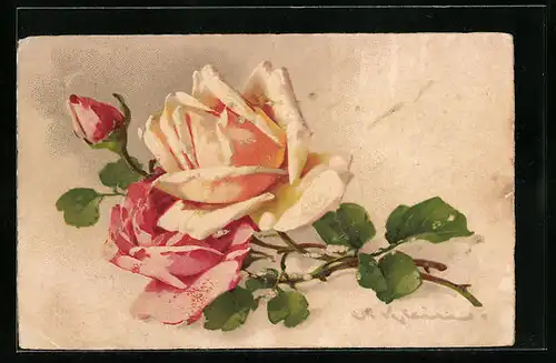Künstler-AK Catharina Klein: 2 Rosenblüten mit Knospe