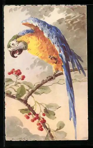 Künstler-AK Catharina Klein: Blau-gelber Papagei auf einem Ast mit roten Beeren
