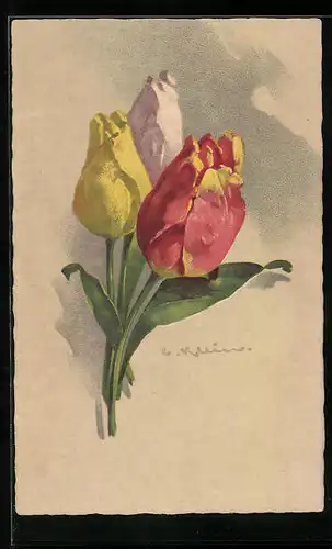 Künstler-AK Catharina Klein: Strauss mit drei bunten Tulpen