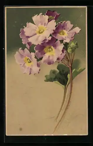 Künstler-AK Catharina Klein: Blumenstrauss mit lila-gelben Blüten
