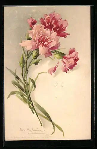 Künstler-AK Catharina Klein: Rosa Nelken