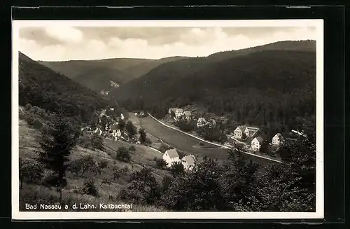 AK Bad Nassau / Lahn, Kaltbachtal aus der Vogelschau