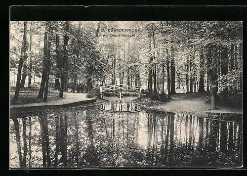 AK Kiel-Düsternbrook, Dianenspiegel