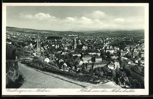 AK Esslingen / Neckar, Gesamtansicht, Blick von der Neckarhalde