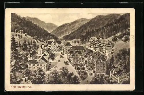 AK Bad Rippoldsau, Ortsansicht aus der Vogelschau