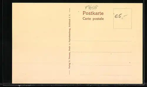 AK Schöneck i. V., Ortsansicht mit Kirche aus der Vogelschau