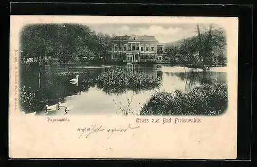 AK Bad Freienwalde a. O., Papenmühle