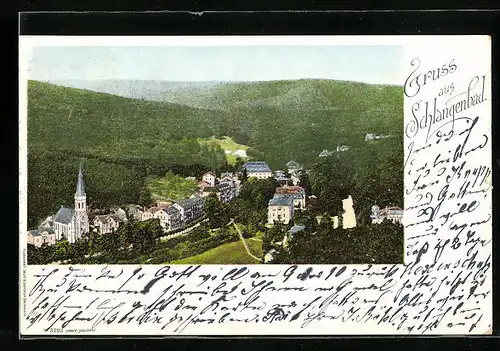 AK Schlangenbad, Ortsansicht aus der Vogelschau