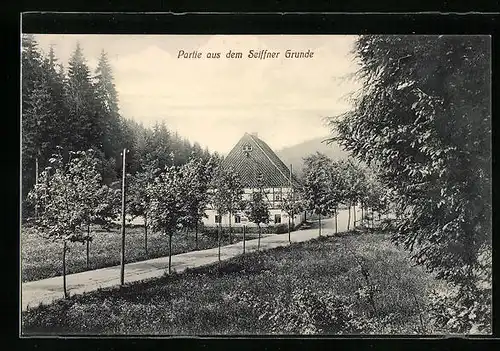 AK Seiffen i. Erzgeb., Partie aus dem Seiffner Grunde