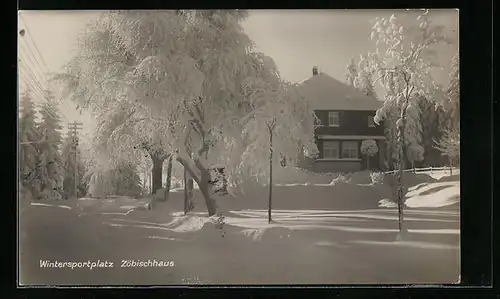 AK Reiboldsgrün i. V., Zöbischhaus im Winter
