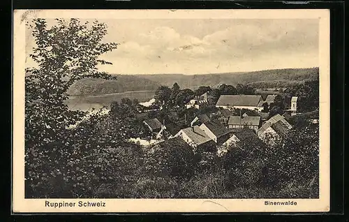 AK Binenwalde, Gesamtansicht