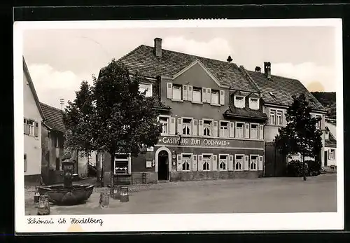 AK Schönau üb. Heidelberg, Gasthaus zum Odenwald