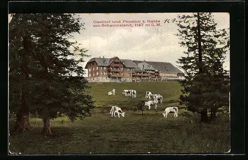 AK Oberried, Gasthof und Pension z. Halde am Schauinsland