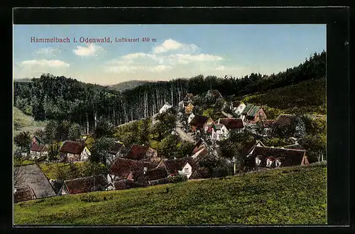 AK Hammelbach im Odenwald, Ortsansicht von einem Berg aus