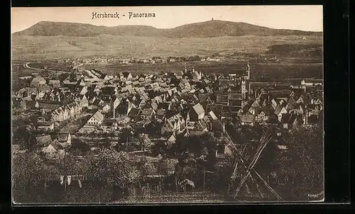 AK Hersbruck, Panorama aus der Vogelschau