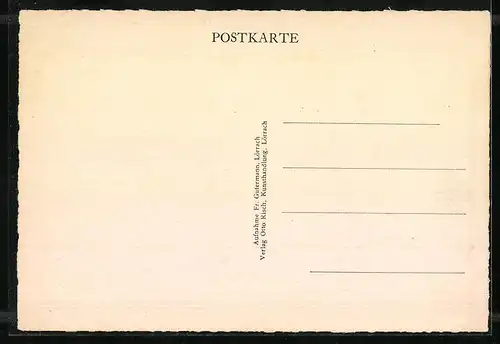 AK Lörrach, Totalansicht aus der Vogelschau