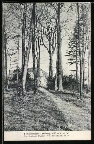 AK Mohorn, Gasthaus Sommerfrische Landberg