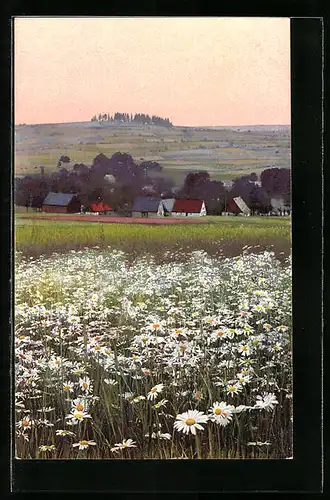 AK Mildenau, Blick zum Ort mit blühender Wiese