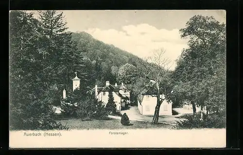 AK Auerbach / Hessen, Fürstenlager am Waldrand