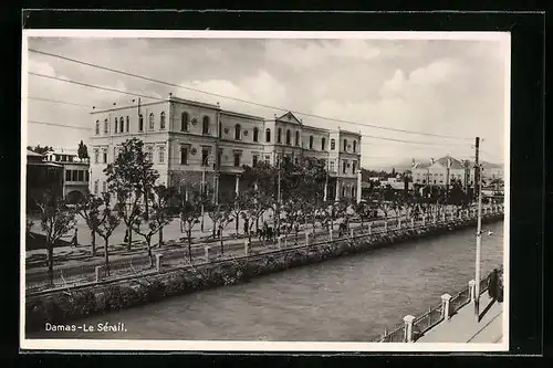 AK Damas, Le Sérail