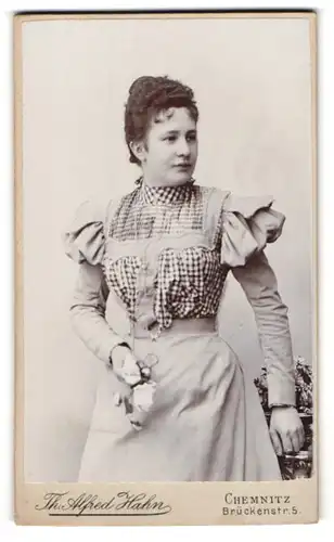 Fotografie Th. Alfred Hahn, Chemnitz, Brückenstr. 5, Portrait dunkelhaarige Schönheit im prachtvollen Kleid