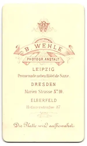 Fotografie B. Wehle, Elberfeld, Hofauerstr. 87, Portrait zwei blonde freche Buben in eleganter Kleidung