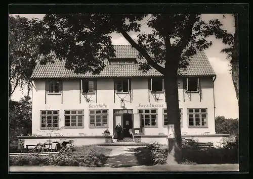 AK Markgrafenheide, Gaststätte Forsthaus