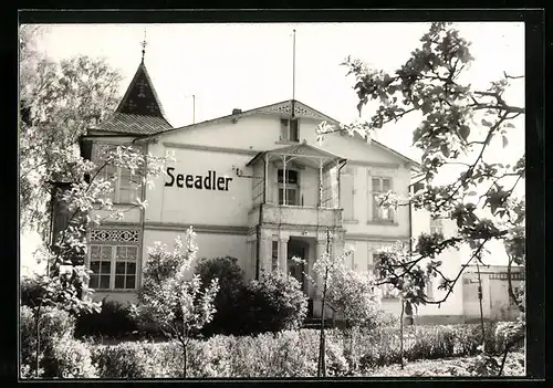 AK Sellin /Rügen, Hotel Haus Seeadler