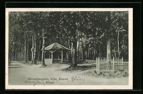 AK Klosterlausnitz i. Th., Köppe mit Pavillon
