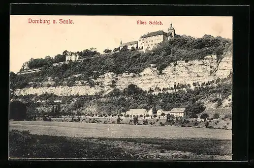 AK Dornburg / Saale, Blick auf das Alte Schloss