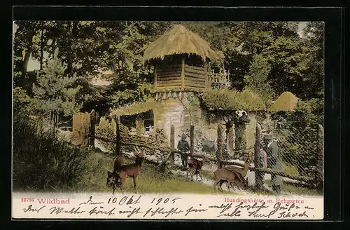 AK Wildbad, Hundingshütte mit Rehgarten