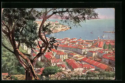 AK Monte-Carlo, a Travers les Oliviers