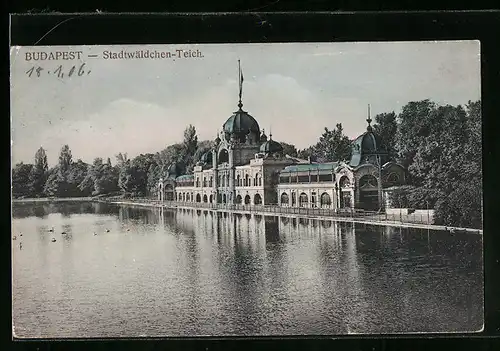 AK Budapest, am Stadtwäldchen-Teich