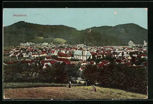 AK Waldkirch / Breisgau, Totalansicht