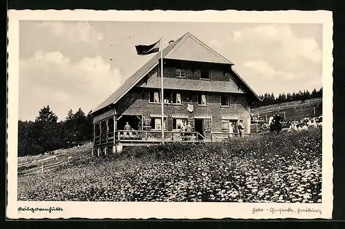 AK Schluchsee, Brisgoven-Schwarzwaldhais Hinterhäuser