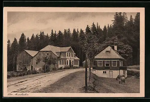 AK Stützerbach / Thür. Wald, Gasthof zum Auerhahn