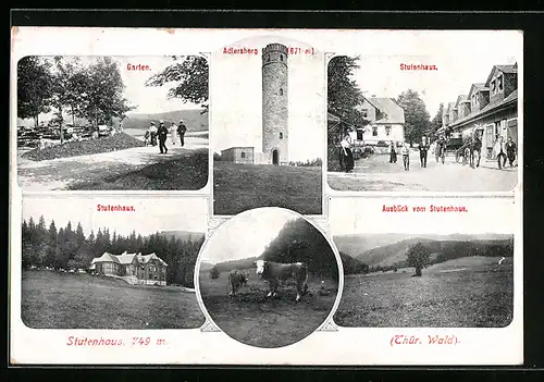 AK Stutenhaus / Thür. Wald, Stutenhaus, Adlersberg, Gesamtansicht