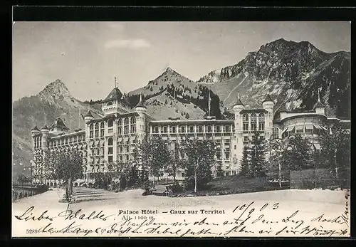 AK Caux, Palace Hotel