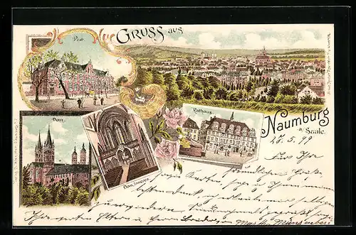 Lithographie Naumburg /Saale, Ortsansicht, Post, Dom, Rathaus