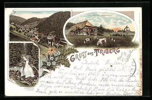 Lithographie Triberg, Bauernhaus Schwarzwald, Triberg, Wasserfall