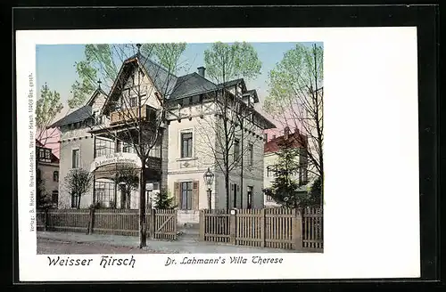 AK Dresden-Weisser Hirsch, Dr. Lahmann`s Villa Therese